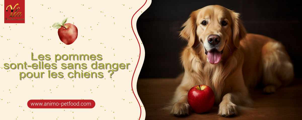 les-chiens-peuvent-ils-manger-des-pommes